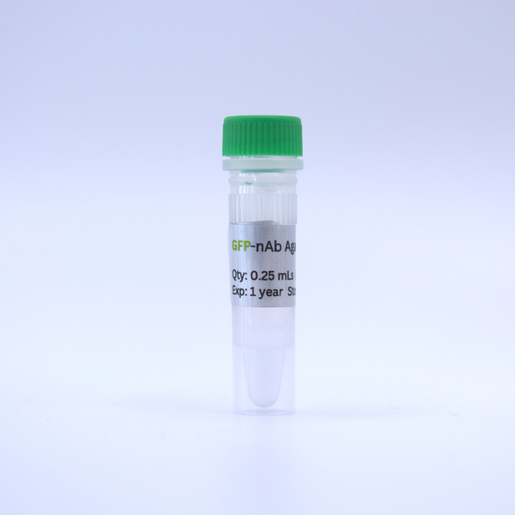 GFP-nAb™ Agarose 0.25ml