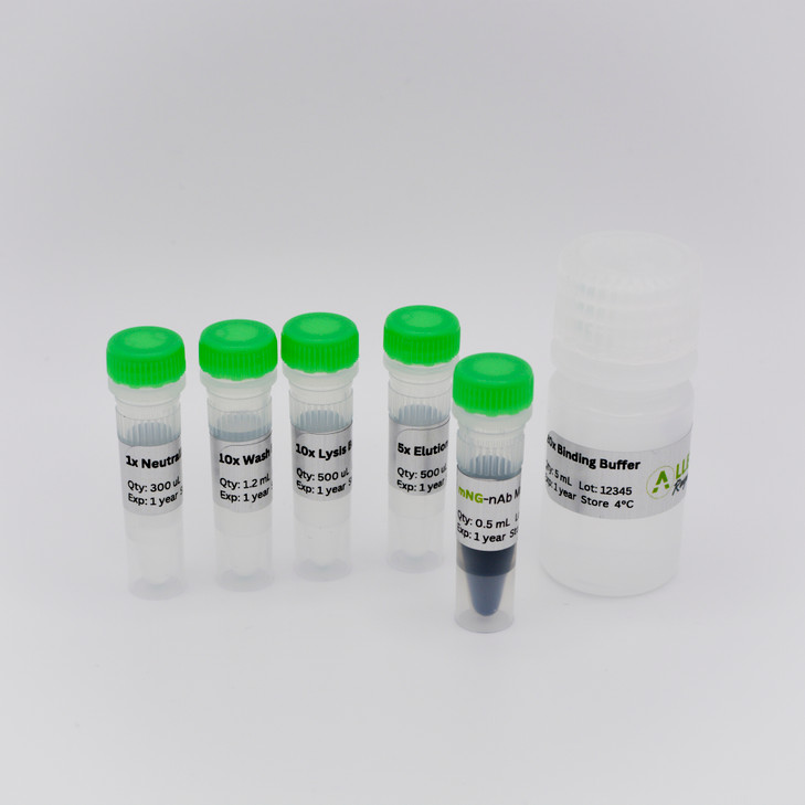 mNG-nAb Magnetic Agarose Kit
