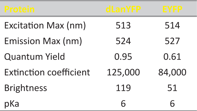 lanyfp-table.jpg