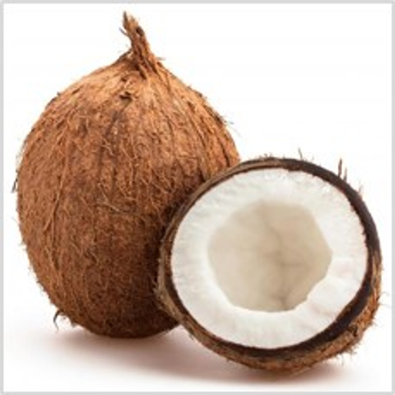 Thai Coconut + Santal Fragrance Oil