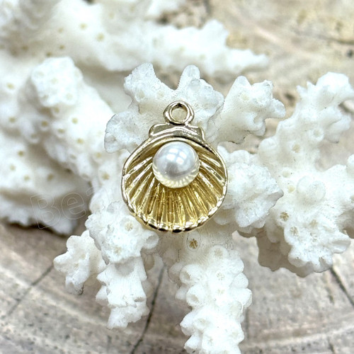 34927_Charm - Seashell (16K)_1