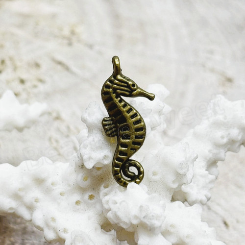 33880_Seahorse_1