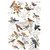Redesign Transfer Postal Birds