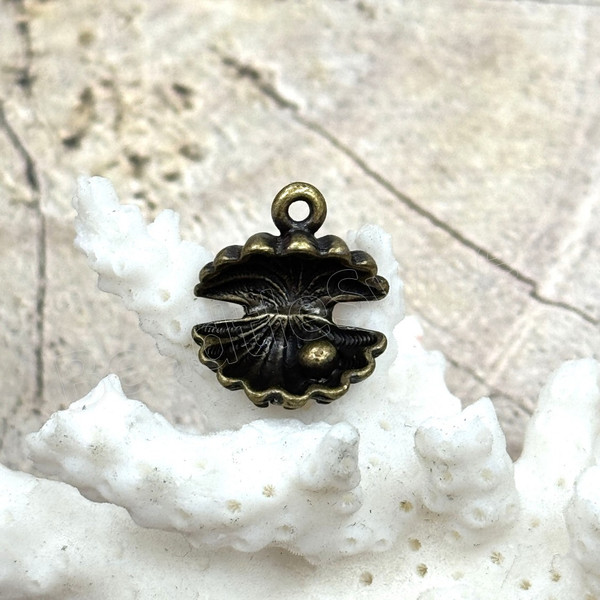 31890_Seashell_1