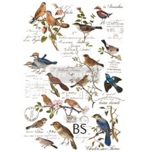 Redesign Transfer Postal Birds