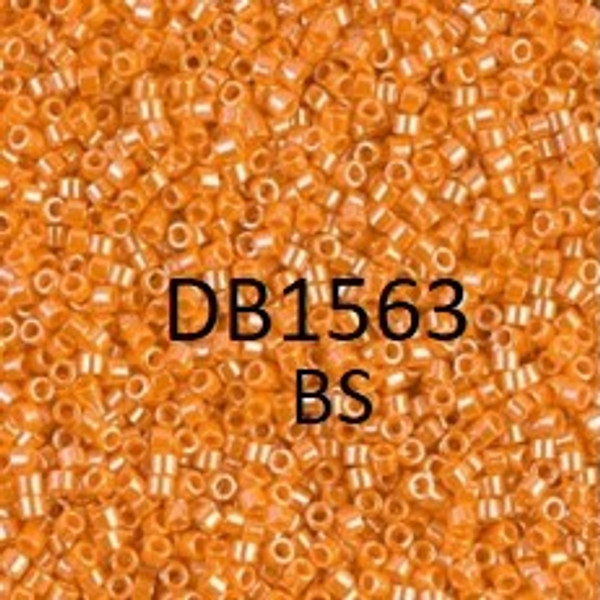 11/0 Miyuki Delica Beads DB-1563