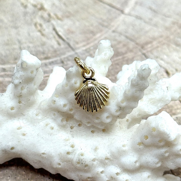 34891_Charm - Seashell 16K_1