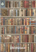 Stamperia Rice Paper DFSA4754 (Vintage Library bookcase)