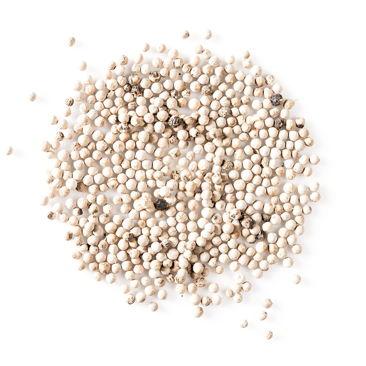 Whole White Peppercorns Bulk White Pepper