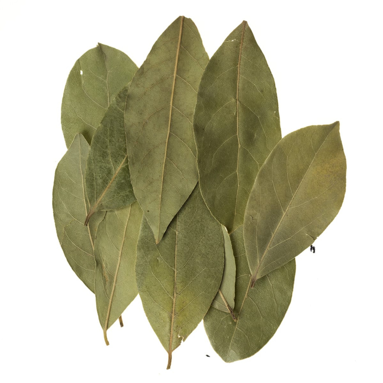 Image result for bay leaves