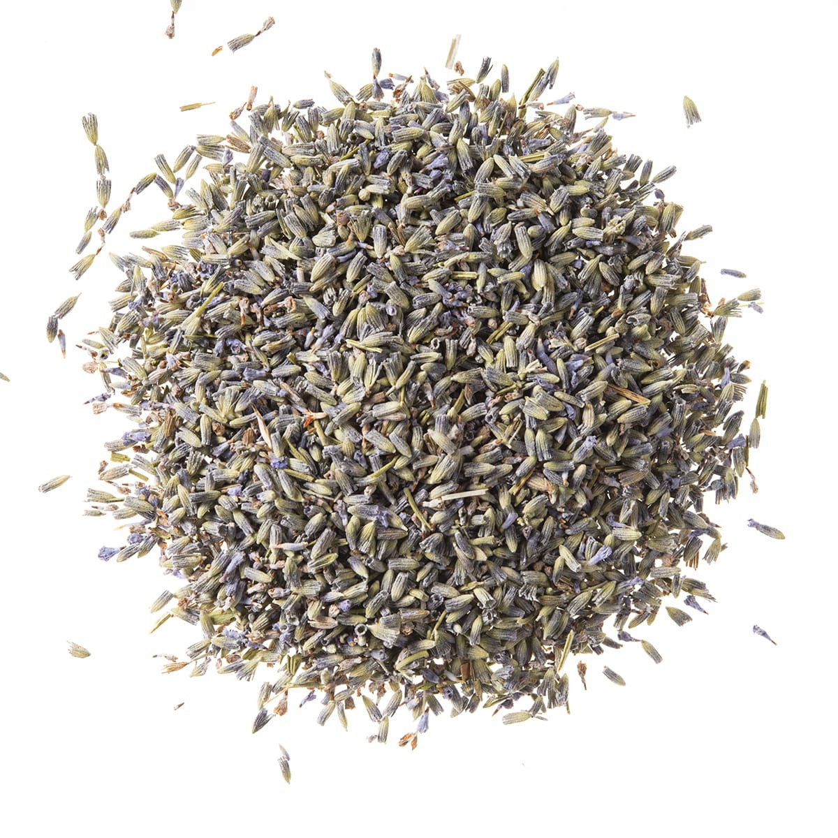 Lavender Whole | Bulk Whole Lavender | Blue Lavender