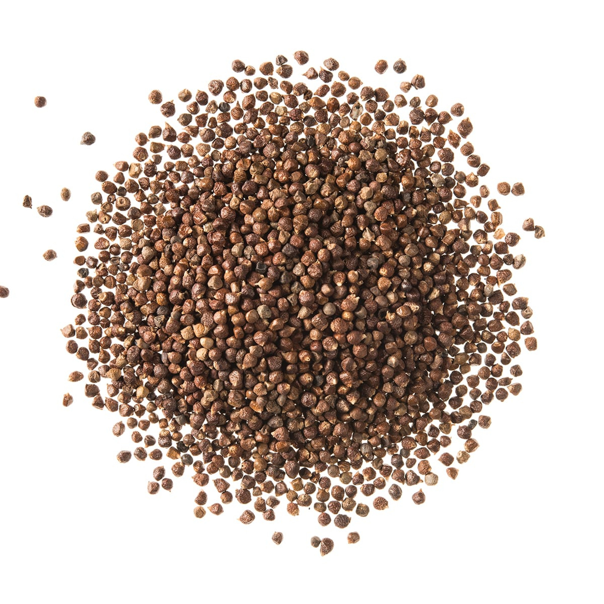 Unmasking The Mystery: Why Is Grains Of Paradise Controversial? - 7kydb17
