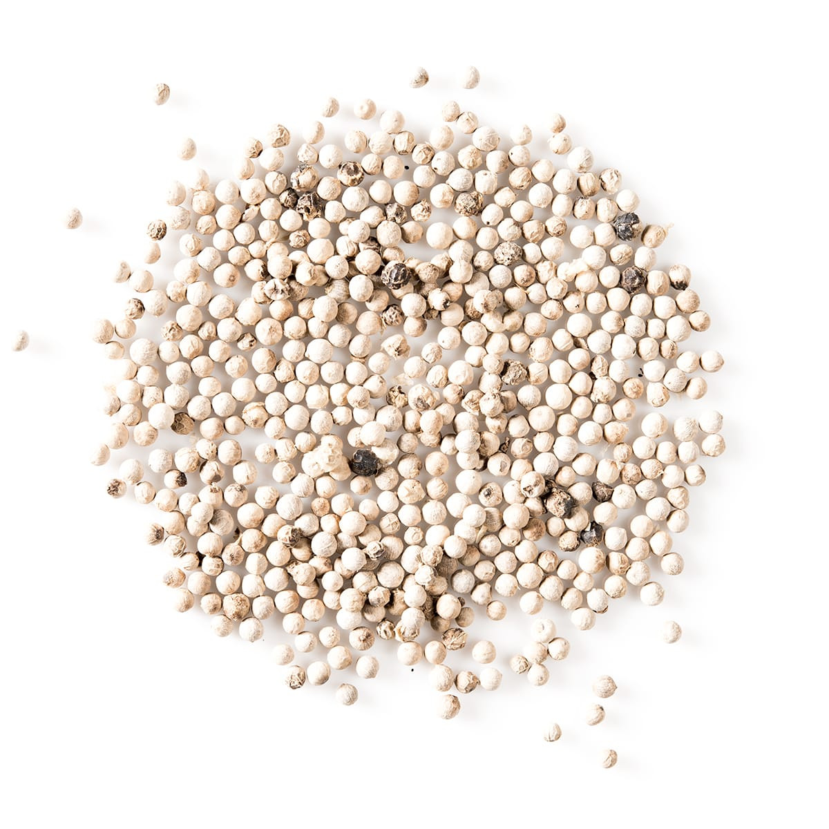 Whole White Peppercorns Bulk White Pepper
