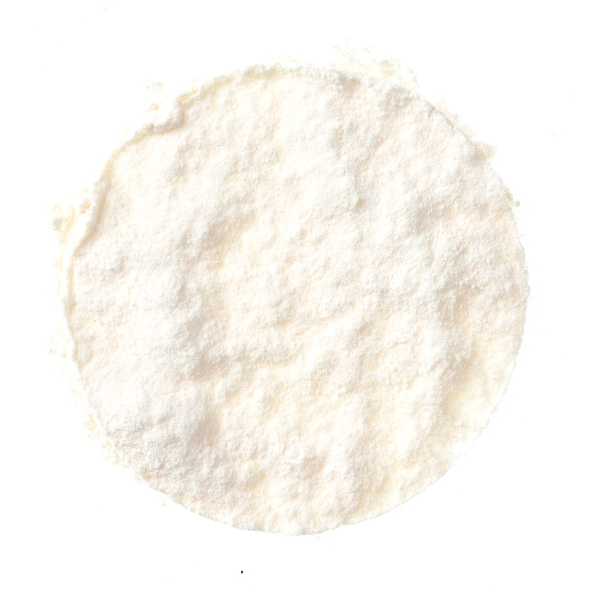 Cheddar Cheese Powder Buy Bulk Cheddar Cheese