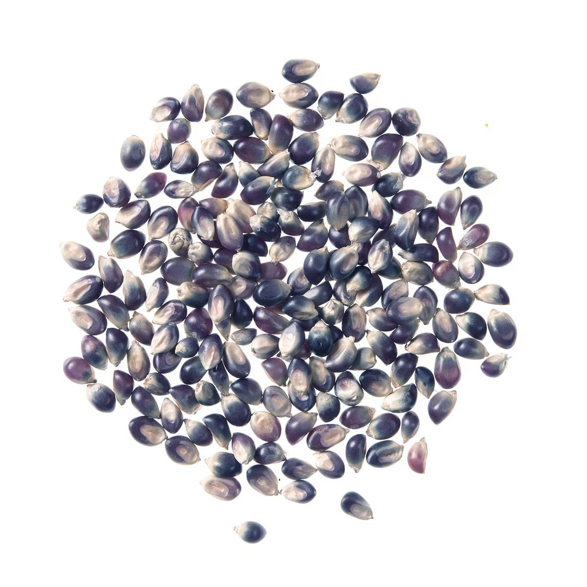 Gourmet Purple Popcorn