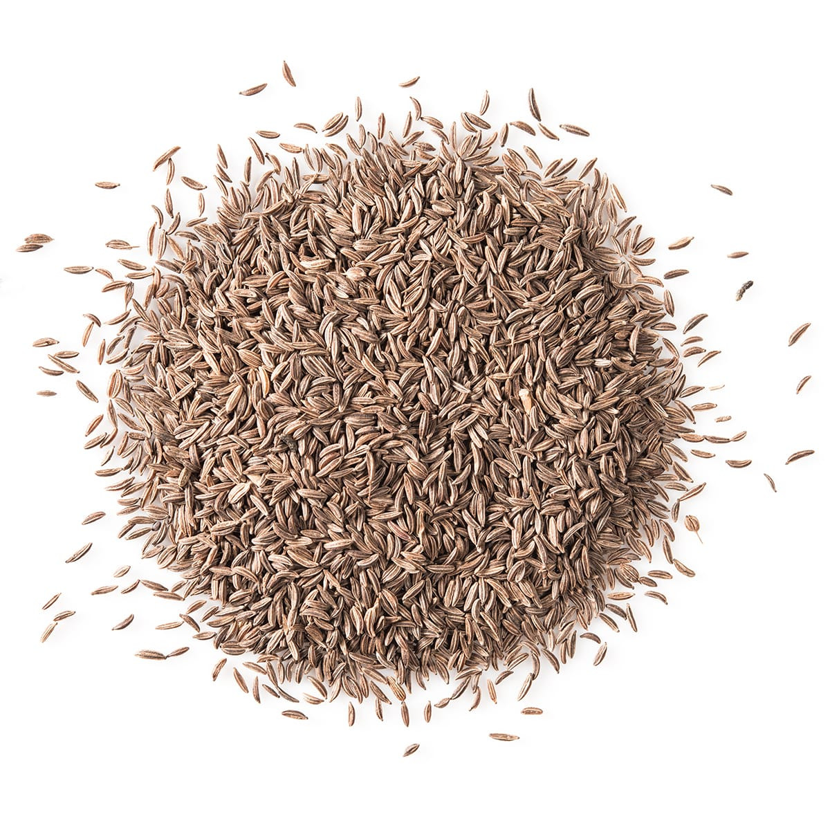 Caraway Seed Ground Bulk Ground Caraway