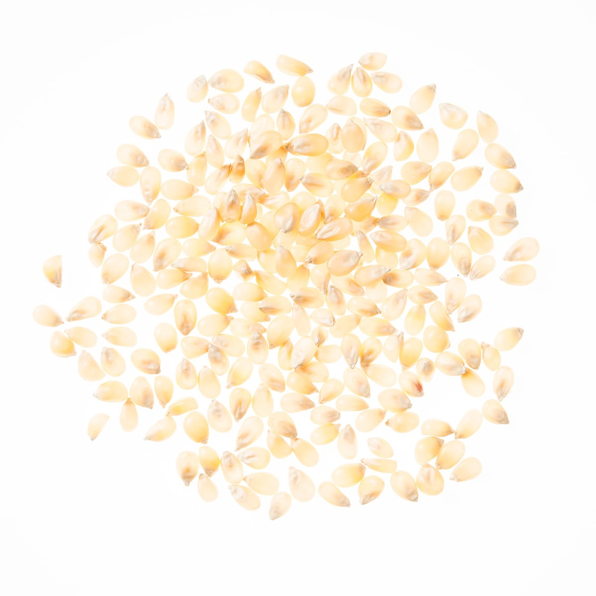 bulk-popcorn-seasoning-online-gourmet-popcorn-flavoring-american-spice