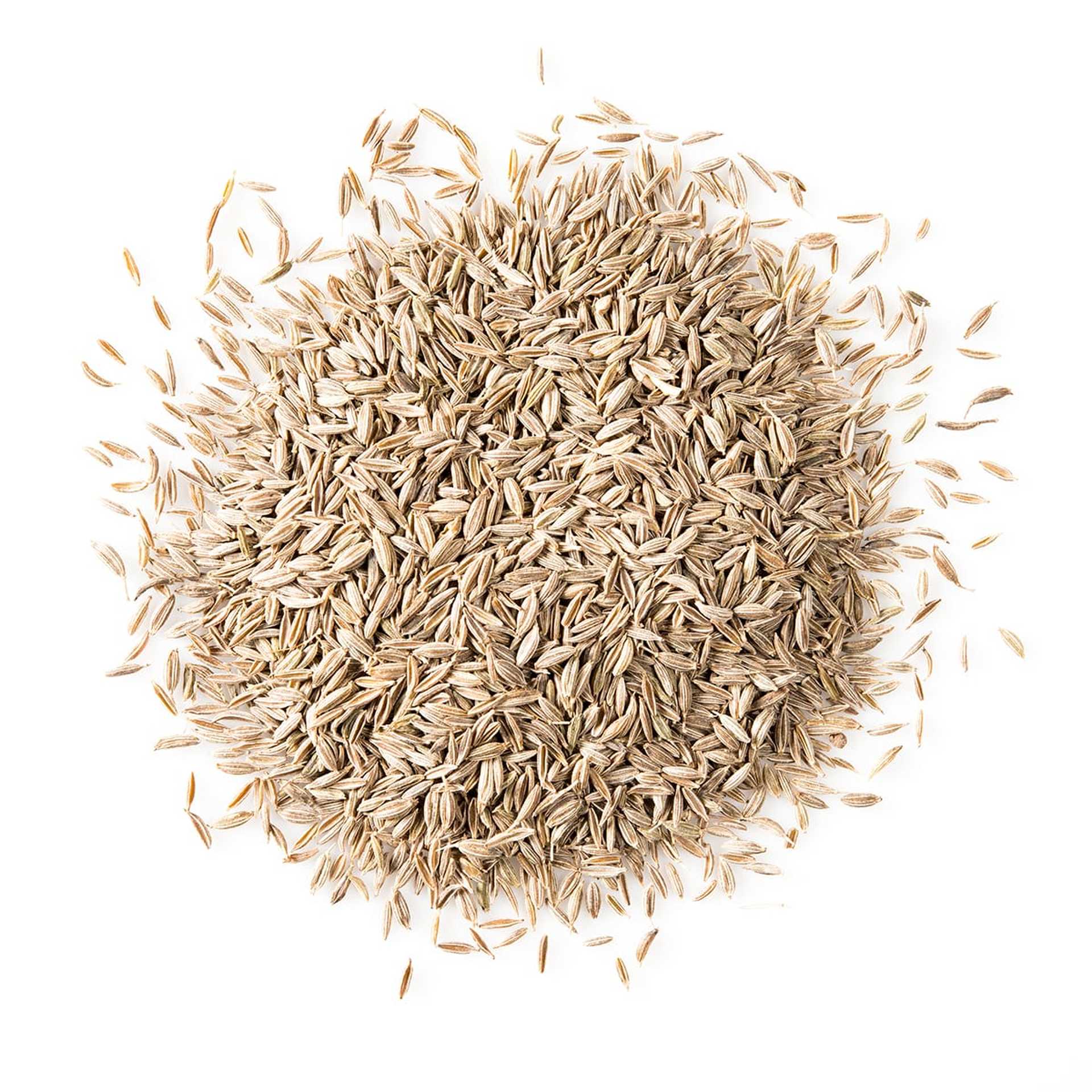 Fun Facts About Cumin Great American Spice Company