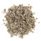 Sage Leaf Dalmation