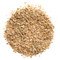 Roasted Garlic Minced