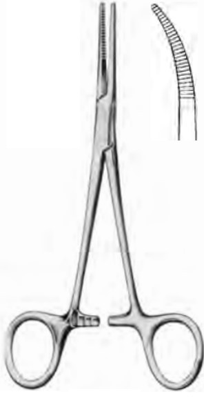 Product Spectrum Kelly Forcep, 5.5", Curved | SAH.60-1891 Image