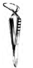 Product Spectrum Jones Towel Forcep, 3.75" (9cm), Cross Action | SAH.60-2271 Image