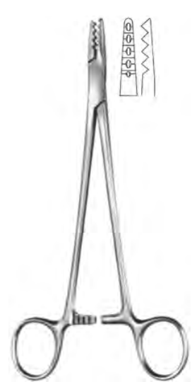 Product Spectrum Martin Cartilage Seizing Forcep, 7.5" (19cm), Toothed Jaws | SAH.20-5600 Image