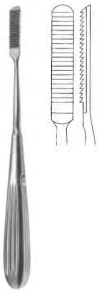 Product Spectrum Cottle Rasp, 8.25" (21cm), Straight, Downwards Cutting, 7mm | SAH.20-8519 Image