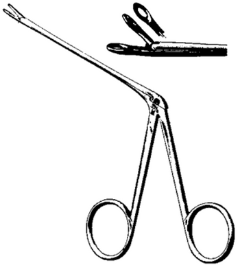 Product Spectrum Hartmann Struempel Alligator Forcep, 3.5" (8.5cm) Working Length, Oval Bite - 2.5x5mm | SAH.23-3206 Image