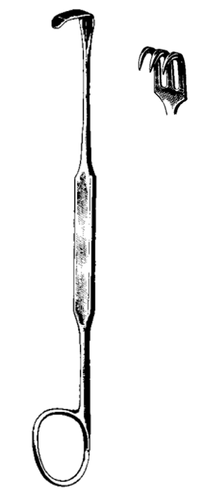 Product Spectrum Meyerding Finger Retractor, 7" (18cm), 10x4mm Tip, 3 Sharp Prongs | SAH.25-1045 Image