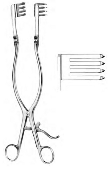 Product Spectrum Beckman-Adson Retractor, 12.25in. (31cm), 4x4 Teeth, Long Teeth, Sharp | SAH.25-9315 Image