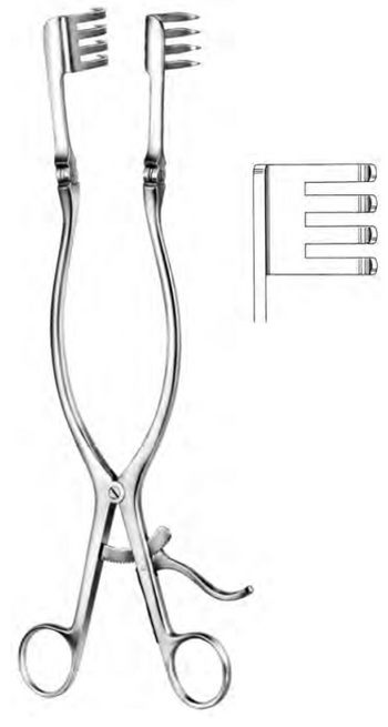 Product Spectrum Beckman-Adson Retractor, 12.25in. (31cm), 4x4 Teeth, Short Teeth, Blunt | SAH.25-9316 Image