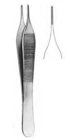 Product Spectrum Adson Dressing Forcep, 6", Serrated | SAH.30-0711 Image
