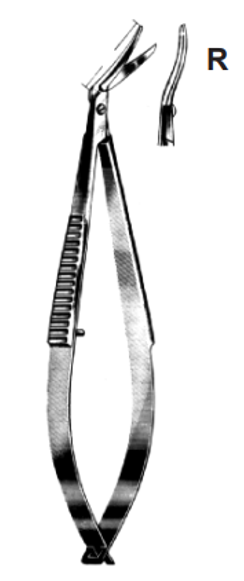 Product Spectrum Castroviejo Corneal Scissor, 4.375" (11cm), Curved Right | SAH.50-2365 Image