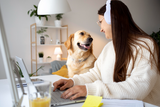 Life on the Move: How to Thrive as a Digital Nomad with a Pet