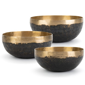 Master Meditation Series