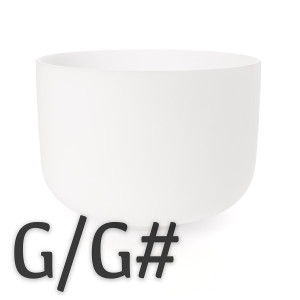 G and G# Note