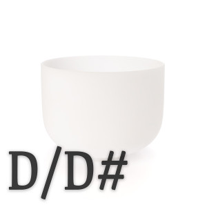 D and D# Note