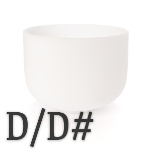 D and D# Note