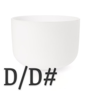D and D# Note