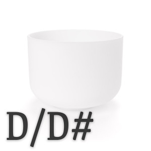 D and D# Note