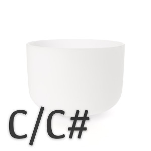 C and C# Note
