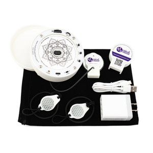 Musical Mushroom Kits