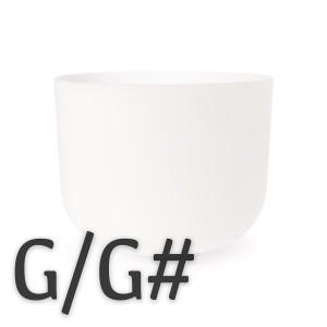 G and G# Note