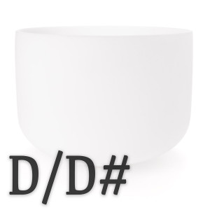 D and D# Note