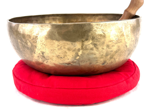 13" F#/C# Note Himalayan Singing Bowl #f34301021