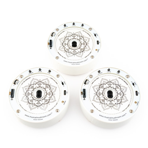 Musical Mushroom Trinity Kit