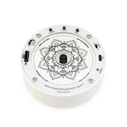 Musical Mushroom Starter Kit