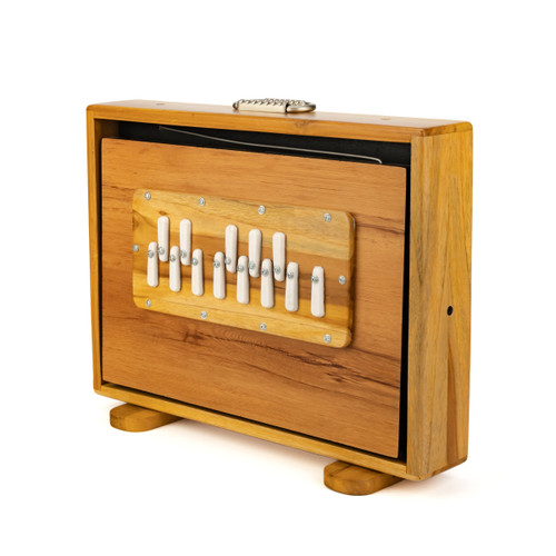 Medium 440Hz 13-Note One Octave C3-C4 Thetazen Shruti Box with Gold Bellows and Carry Case