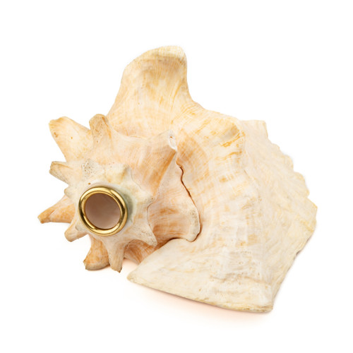 8.5" Thetazen Pink Queen Conch Shell Horn F# Note #tz8.5cspq01
